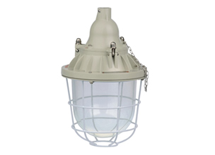 BCd系列防爆灯(IIB)